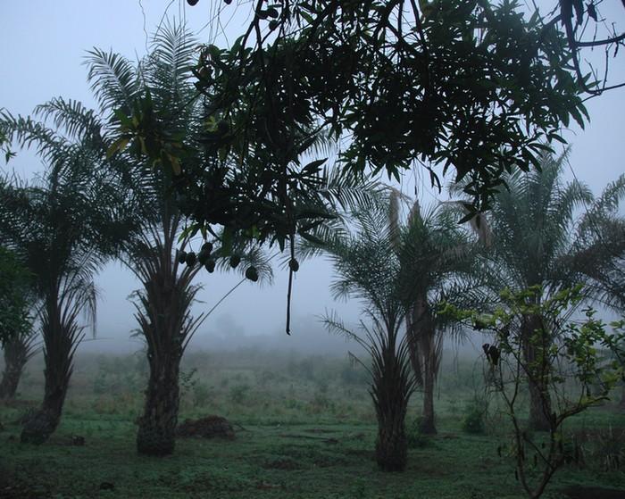 Fotky: Sierra Leone (foto, obrazky)