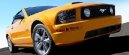 :  > Ford Mustang (Car: Ford Mustang)