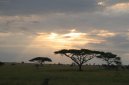 Fotky: Tanzanie (cestopis) (foto, obrazky)