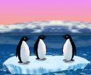 :  > Turbo Penguins (vtipn free hra on-line)