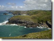 tesy u Tintagel Castle