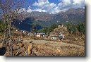 Punakha