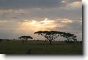 Tanzanie (cestopis)