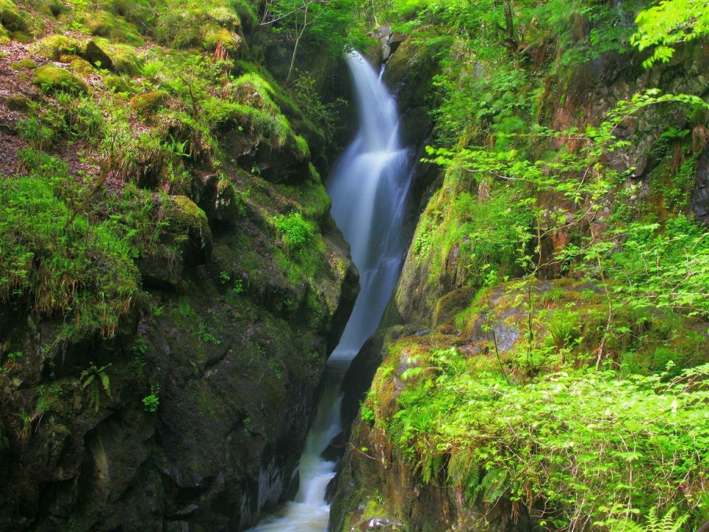 Foto: Aira Force, Glenridding, English Lake District, United Kingdom