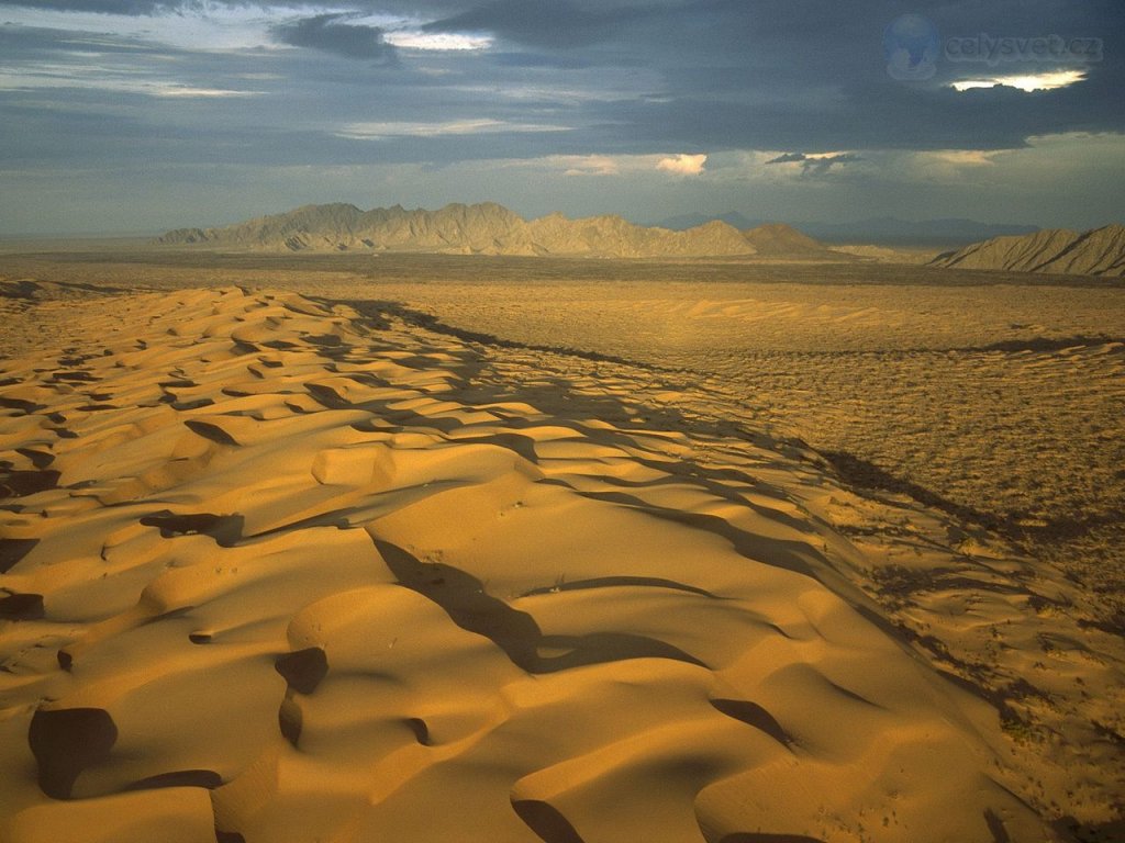 Foto: El Pinacate Gran Desierto Del Altar Biosphere Reserve, Sonora, Mexico