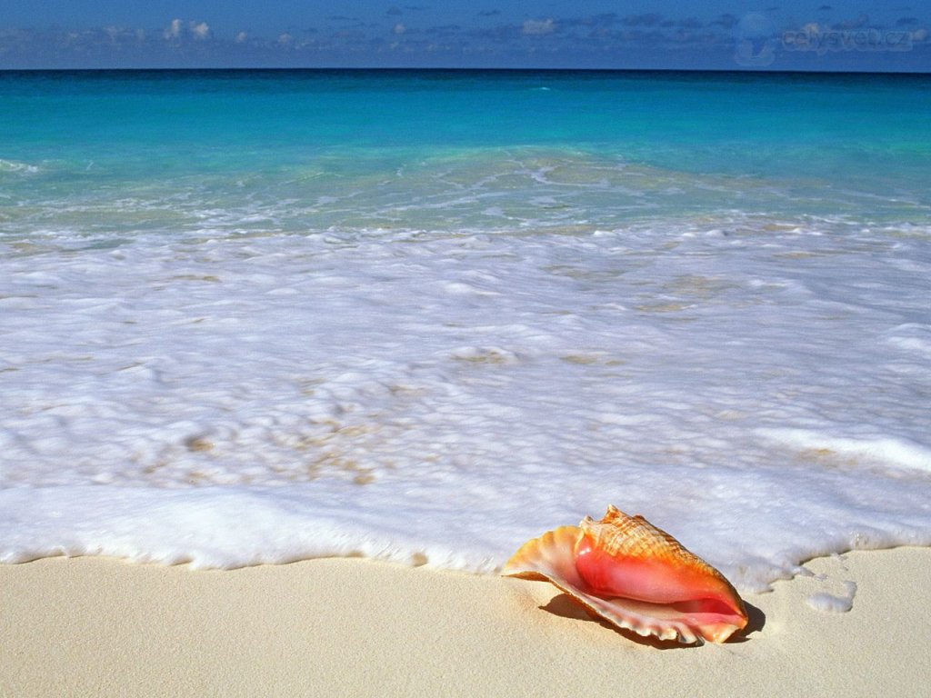 Foto: Beachside Treasure, Yucatan Peninsula, Mexico