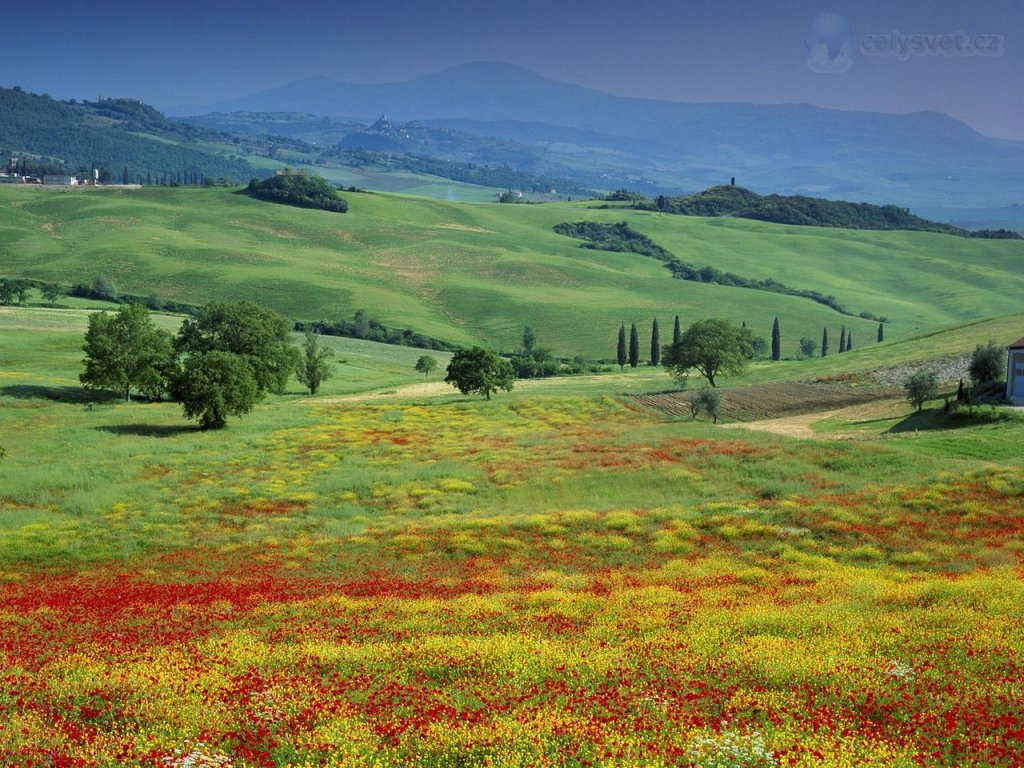 Foto: San Quirico, Tuscany, Italy