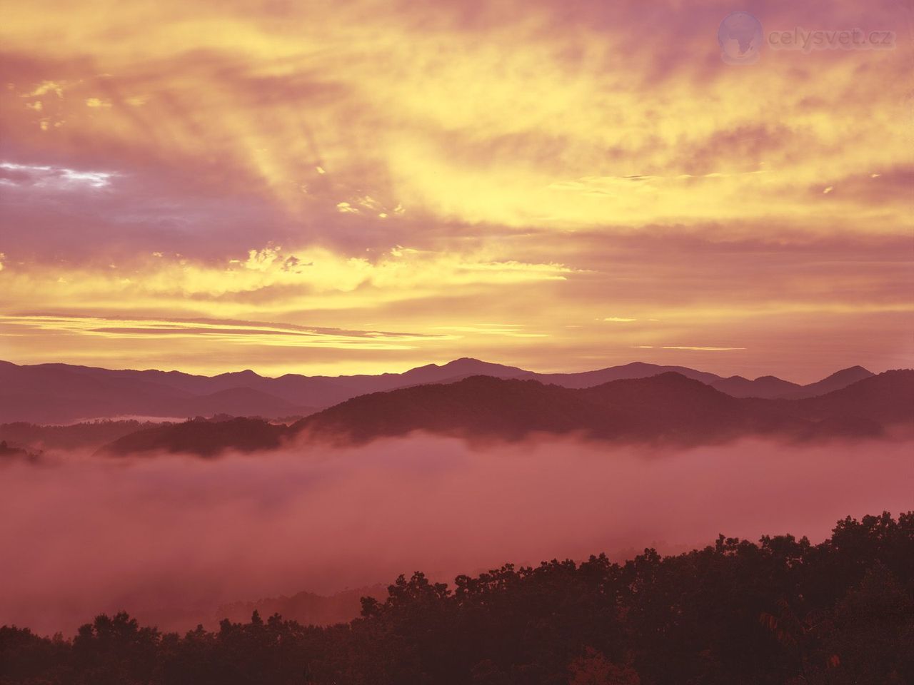 Foto: Foggy Sunrise, From The Foothills Parkway, Great Smoky Mountains, Tennessee