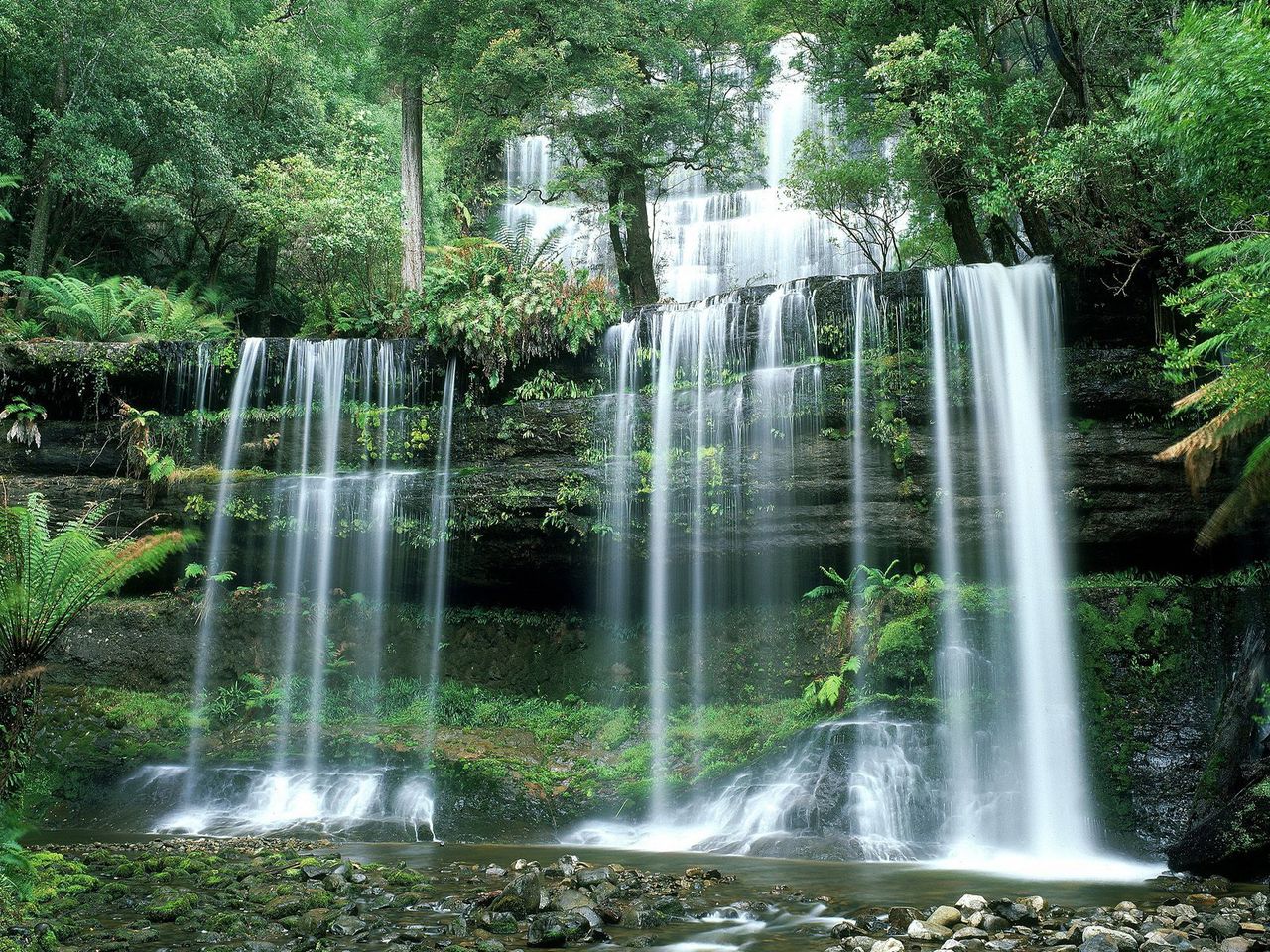 Foto: Russell Falls, Mount Field National Park, Tasmania