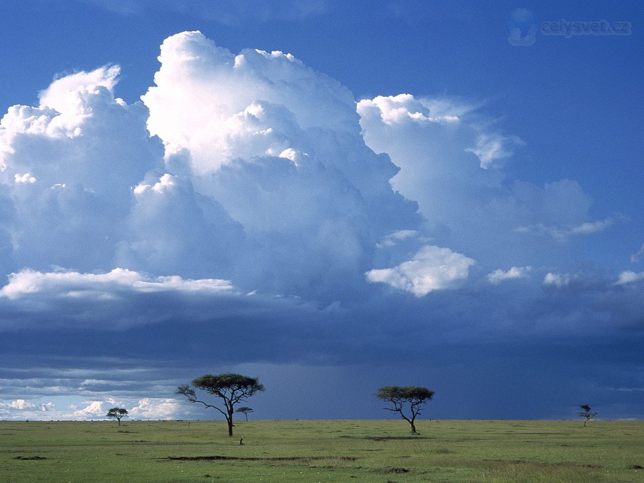 Foto: Storm Over The Savannah, Masai Mara National Reserve, Kenya