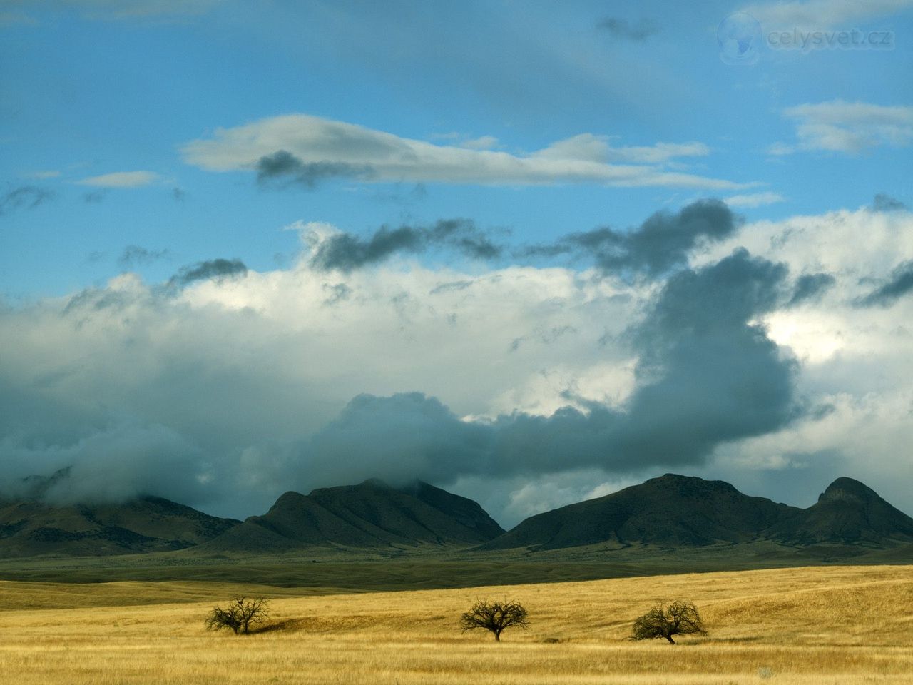 Foto: Clearing Storm Clouds, Coronado National Forest, Arizona