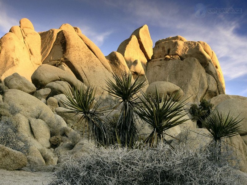 Foto: Rock Formations, Joshua Tree National Park, California