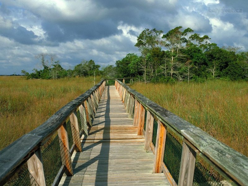 Foto: Mahogany Hammock Trail Boardwalk, Everglades National Park, Florida