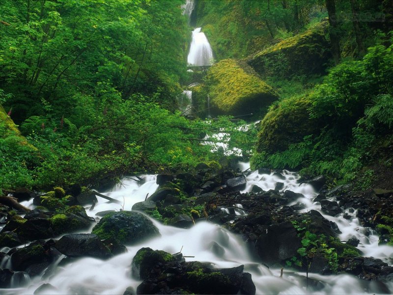 Foto: Wahkeena Falls, Columbia River Gorge, Oregon