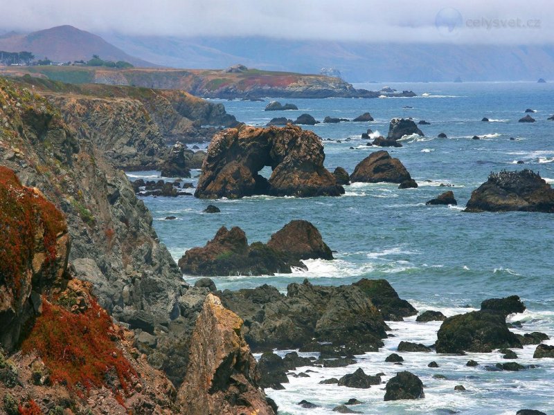 Foto: Foggy Morning, Bodega Bay, California