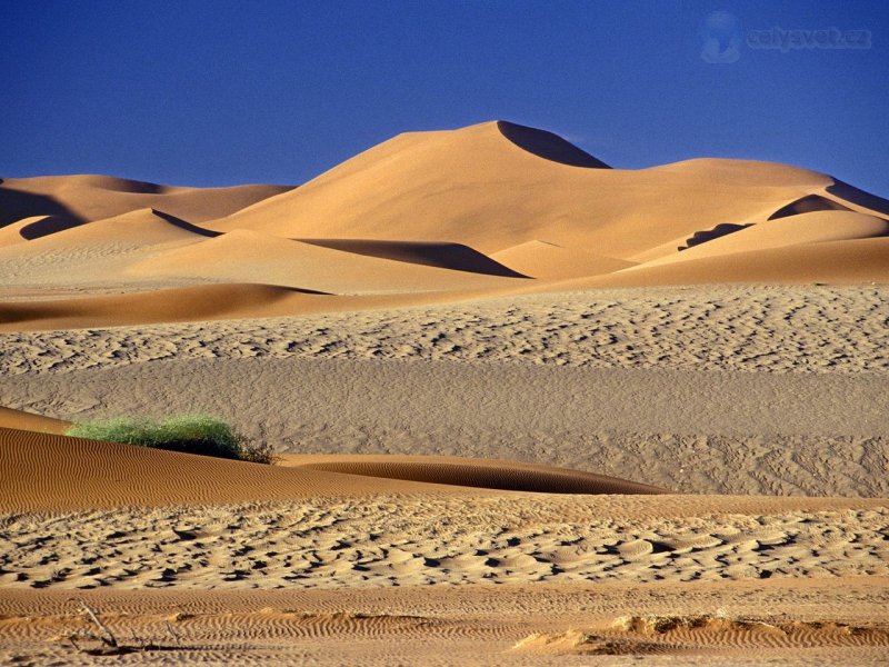 Foto: Couleurs De Sable, Sossusvlei Dunes, Namibia