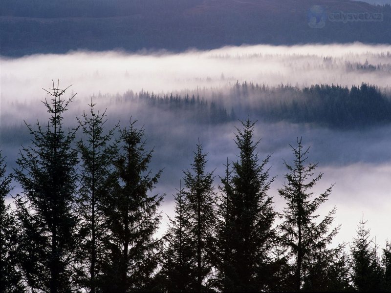 Foto: Misty Glen Garry, Skye And Lochalsh, The Highlands, Scotland