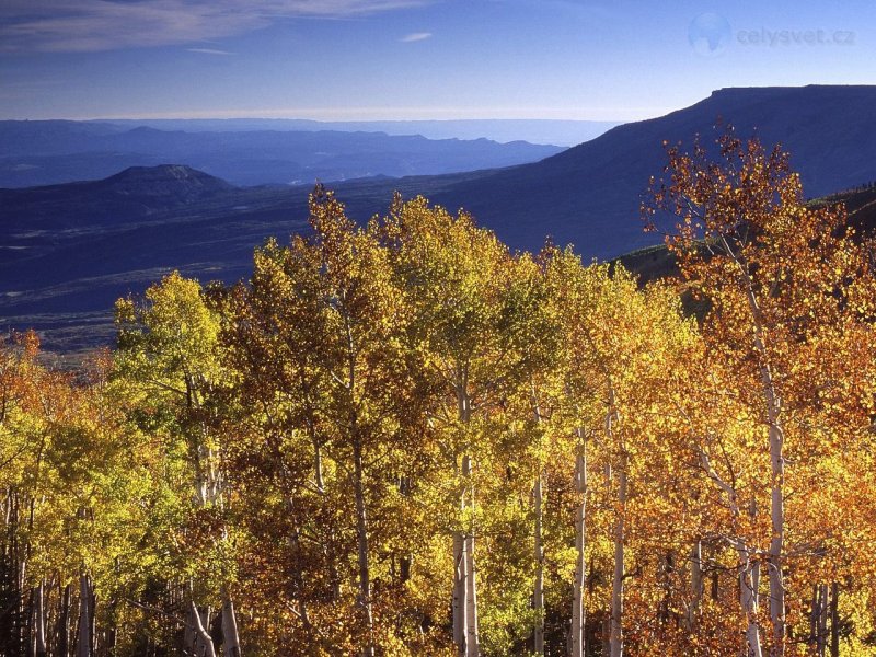 Foto: Grand Mesa In Autumn, Colorado